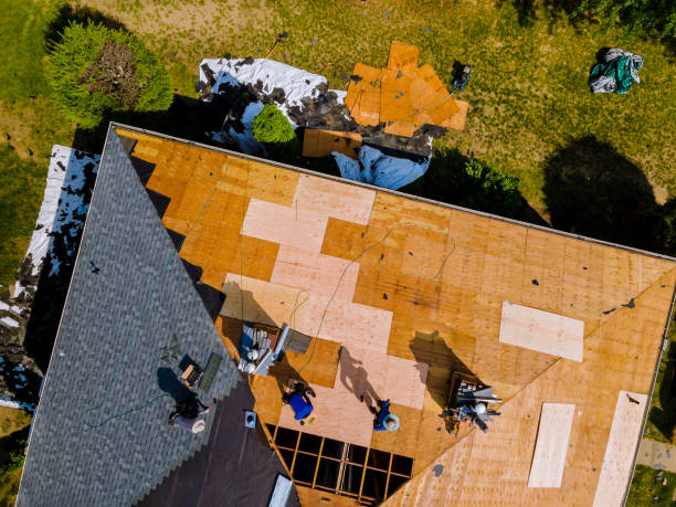 Best Roof Gutter Cleaning  in Anaconda, MT